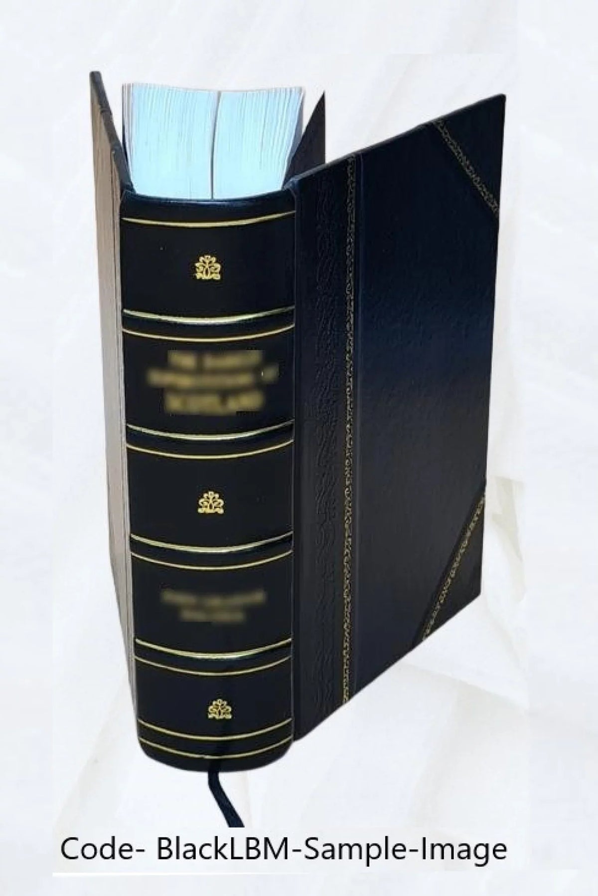 and Cinderella, Cinderella Catskin, Bound] Cap of variants hundred forty-five 1893 [Leather o'Rushes : and three