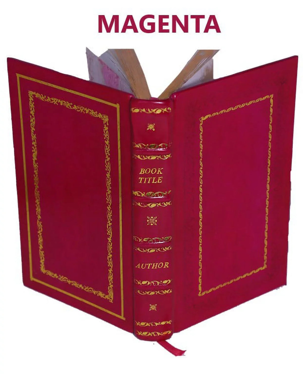 anatomicae Regiae Morgagni, Patavini animadve observationes novas Londinensis et Primarii & duae Epistolae Bound] Professoris [Premium Leather Joannis Baptistae Societatis Sodalis,
