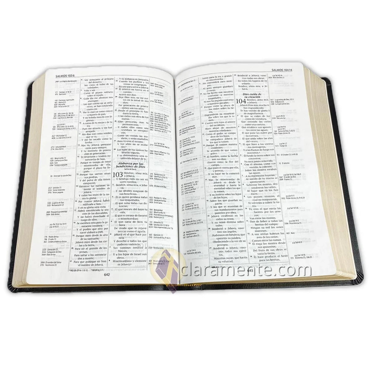 Valera Biblia Leather Fibers de 1960, 1960, Reference Piel Referencia Reina Valera Recycled Reina Reciclada/ Spanish Thompson, Bible, Thompson (Other) Chain