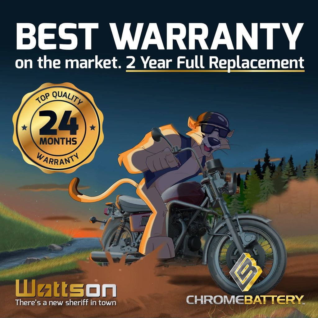 Volts,18 Cca) Streak Vn1600-b Battery Vulcan 270 1600cc Mean Ytx20ch-bs 2004 Motorcycle Ah, for Battery Kawasaki Chrome 12 (20ch-bs