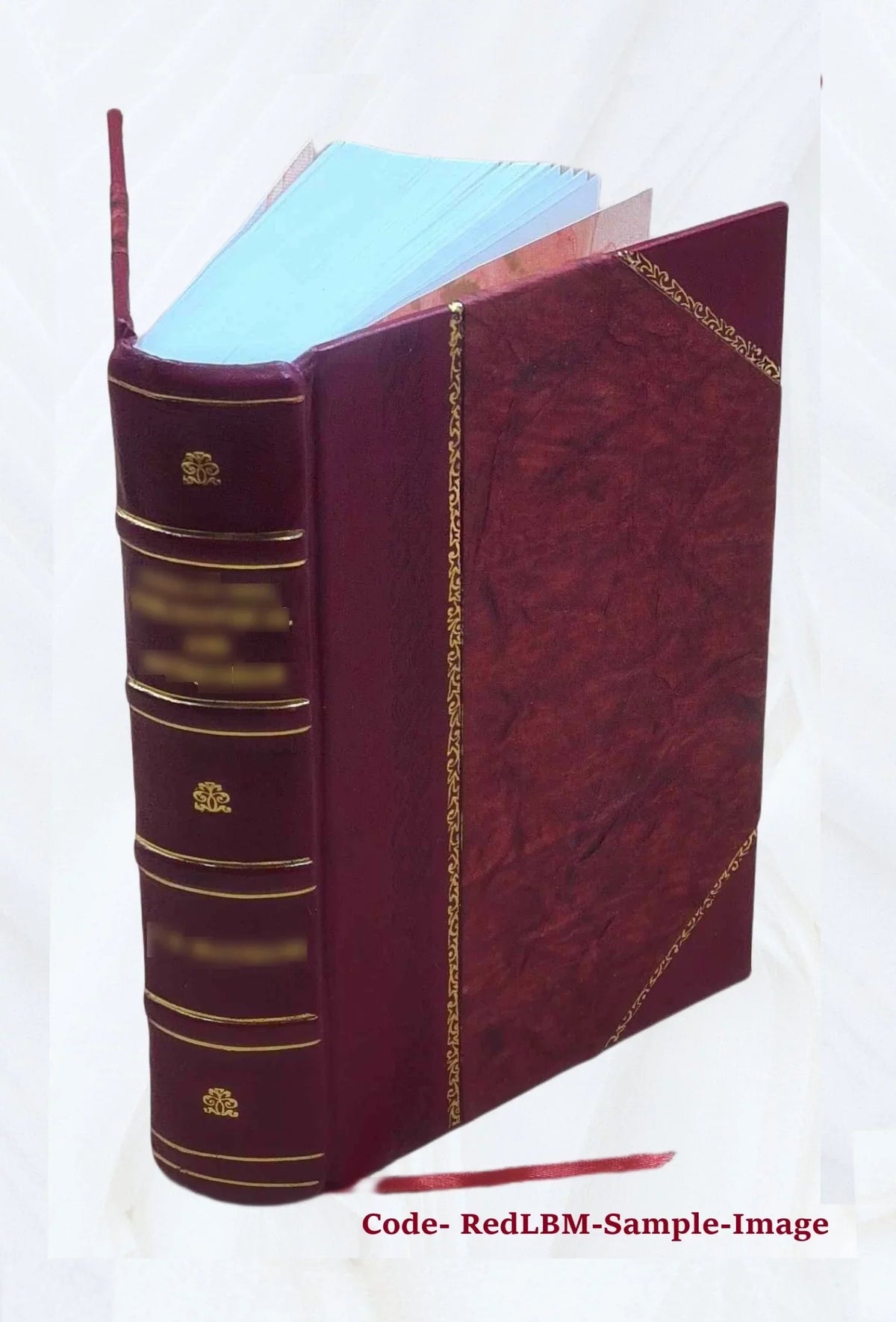 justice York 1910 Equal city made Bound] the equal for for being by the story of New women work; teachers pay the the of struggle of [Leather
